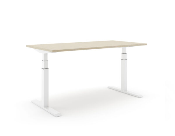 Height Adjustable Gaming Desk | Ergonomic Height Adjustable Desk in Maple Color